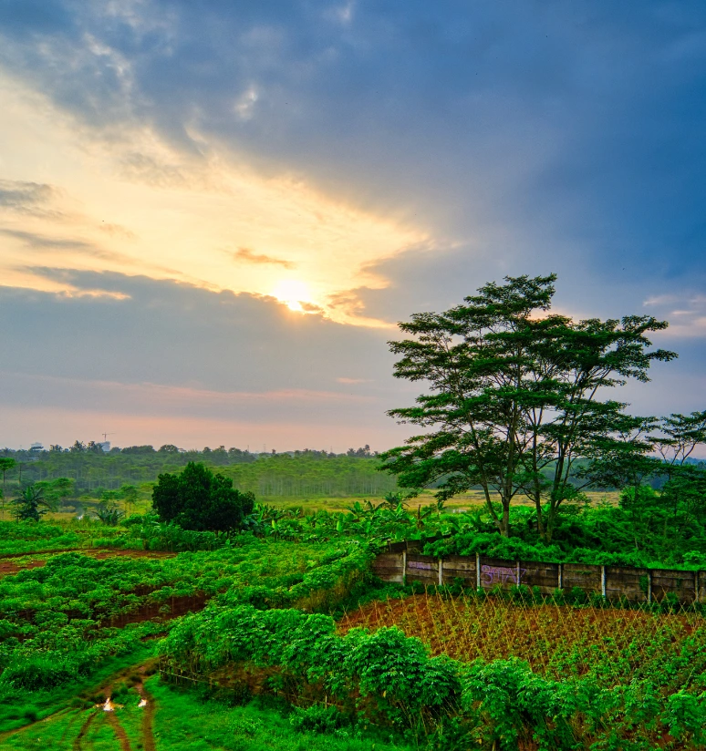 CPEC Farms & Resorts